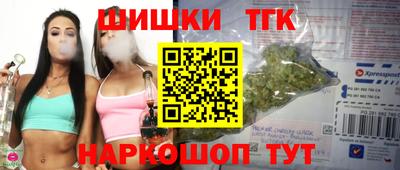 тгк Гай