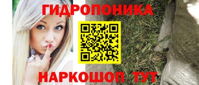 винт Гатчина