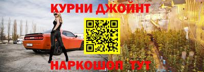 тгк Гай
