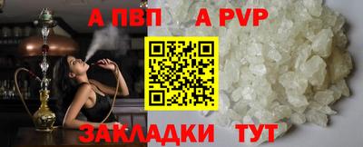 тгк Гай